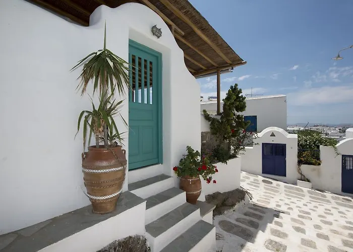 Hibiscus Rosa Mykonos