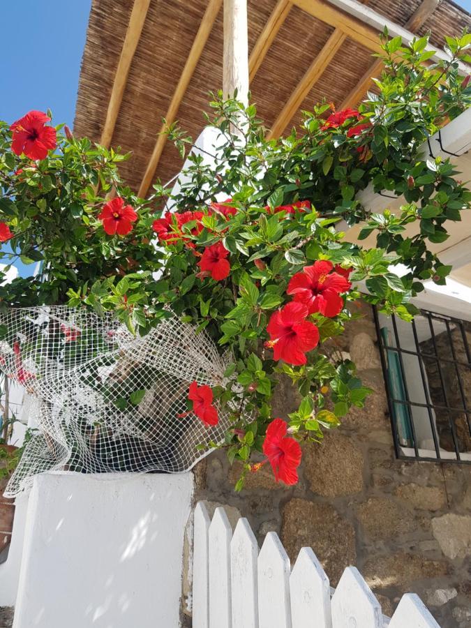 Holiday home Hibiscus Rosa Mykonos